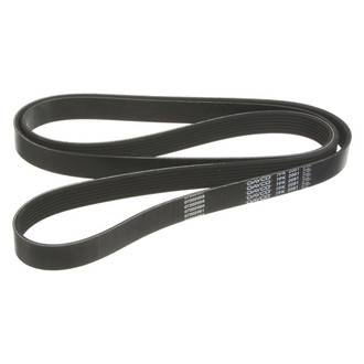 Dayco® - Multi-Rib Drive Belt