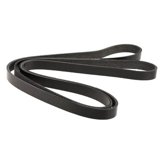 Dayco® - Accessory Drive Belt