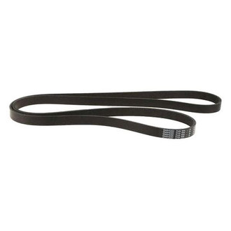 Dayco® - Accessory Drive Belt