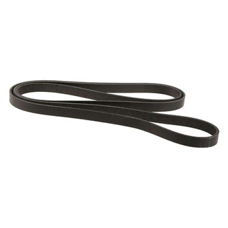 Dayco® - Accessory Drive Belt