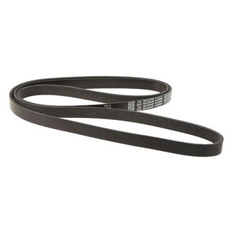 Dayco® - Accessory Drive Belt