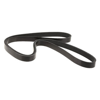 Dayco® - Accessory Drive Belt