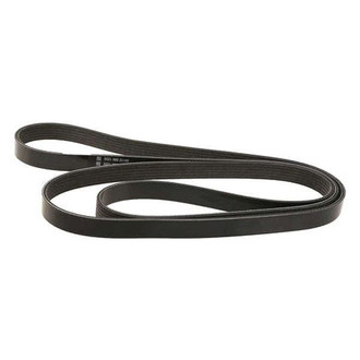 Dayco® - Accessory Drive Belt