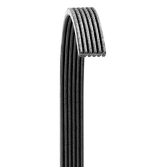Dayco® - Accessory Drive Belt
