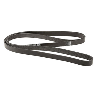 Dayco® - Accessory Drive Belt