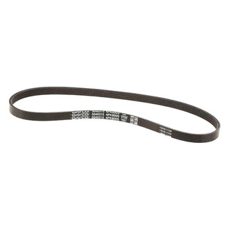Dayco® - Accessory Drive Belt