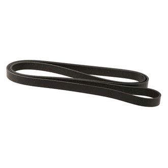 Dayco® - Accessory Drive Belt