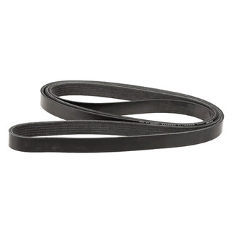 Dayco® - Accessory Drive Belt