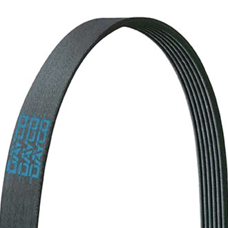 Dayco® - Accessory Drive Belt