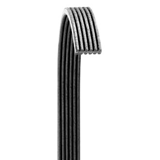 Dayco® - Accessory Drive Belt