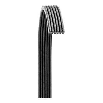 Dayco® - Accessory Drive Belt