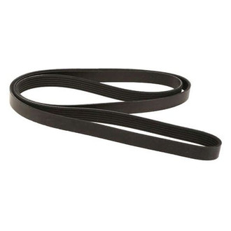 Dayco® - Accessory Drive Belt
