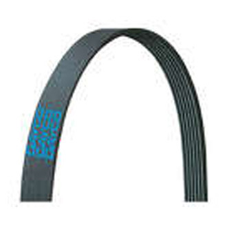 Dayco® - Accessory Drive Belt