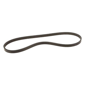 Dayco® - Accessory Drive Belt