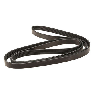 Dayco® - Accessory Drive Belt
