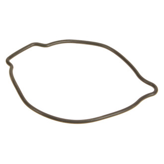Genuine® - Oil Pump Seal