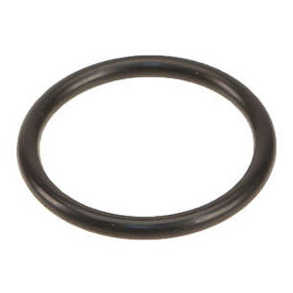 Genuine® - Fuel Injection Plenum Gasket