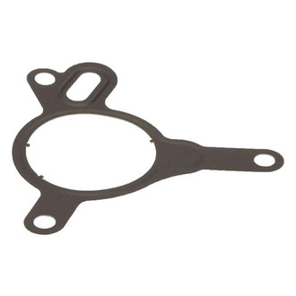 Genuine® - Vacuum Pump Seal