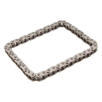 Iwis® - Timing Chain