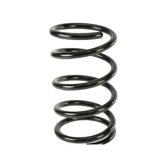 Lesjofors® - Rear Coil Spring