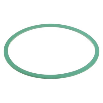 Motorcraft® - Fuel Pump Tank Seal