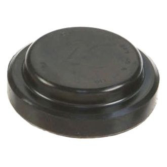 Nippon Reinz® - Rear Camshaft Plug