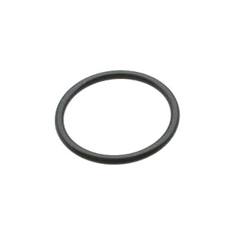 NOK® - Engine Coolant Water Outlet Gasket