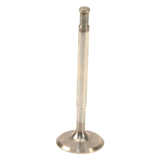 Osvat® - Intake Valve