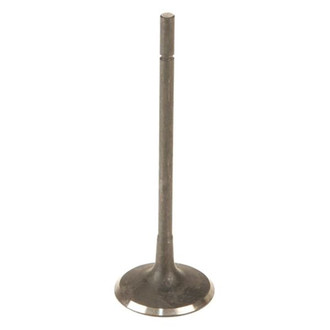 Osvat® - Intake Valve