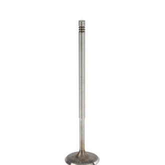 TRW® - Intake Valve