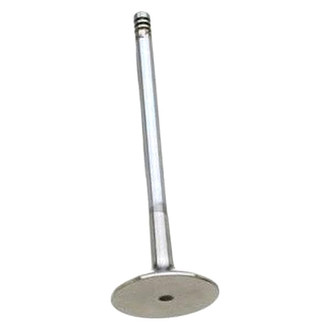 TRW® - Intake Valve
