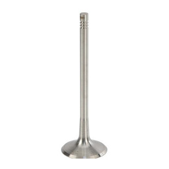TRW® - Intake Valve