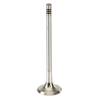 TRW® - Exhaust Valve