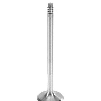 TRW® - Exhaust Valve