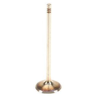 TRW® - Intake Valve