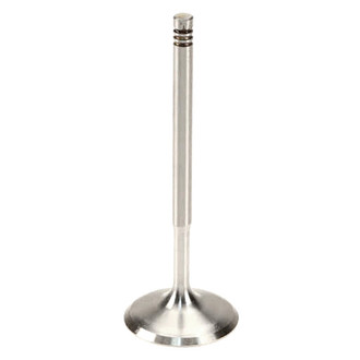 TRW® - Intake Valve