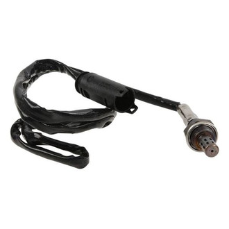 Walker® - Oxygen Sensor