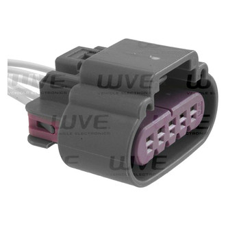 WVE® - Tail Light Repair Harness Connector