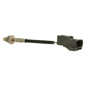 WVE® - EGR Valve Temperature Sensor