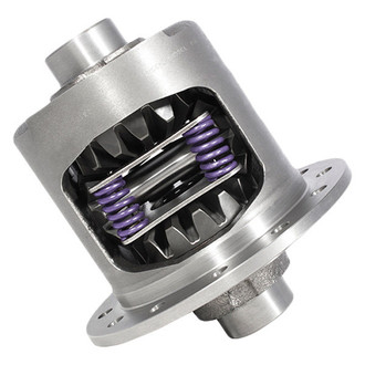 Yukon Gear & Axle® - Dura Grip™ Rear Differential