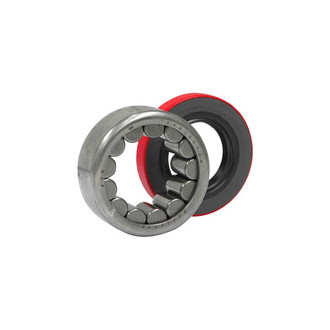 Yukon Gear & Axle® - Rear Axle Bearing Kit